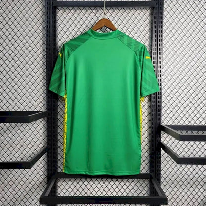 Camisa de goleiro Manchester City 2023/24 verde