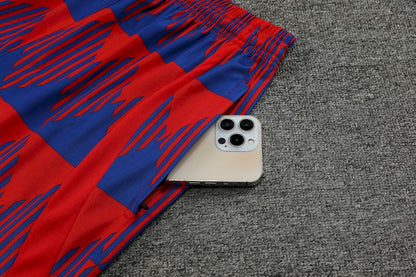 Camisa de treino adulto Barcelona 2023/24 + short 418