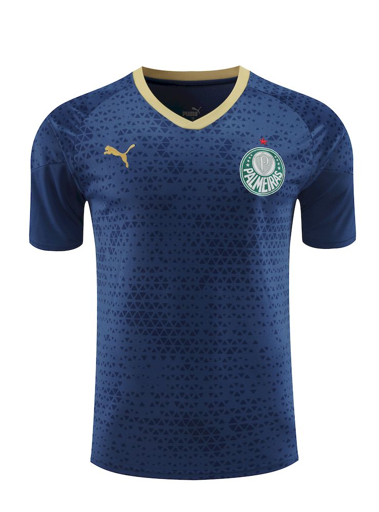 Palmeiras 2024/25 Camisa+Curto Adulto Treinamento 2024/25 418