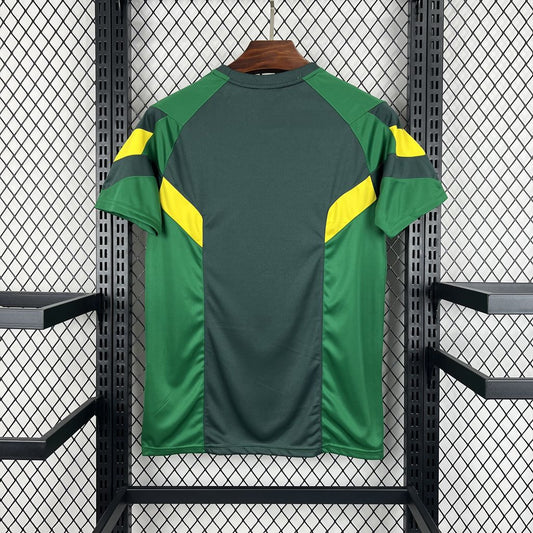 Celtic 2024/25 Special Edition Jersey