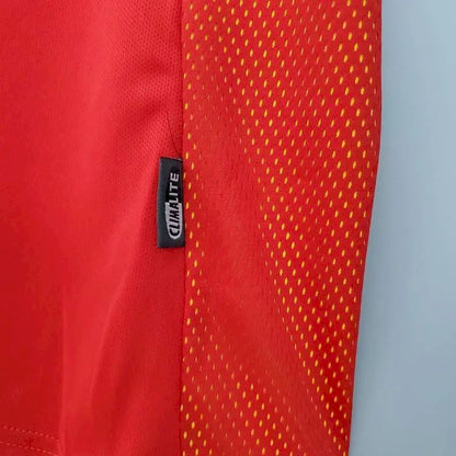 Camisa retrô da Espanha 2002